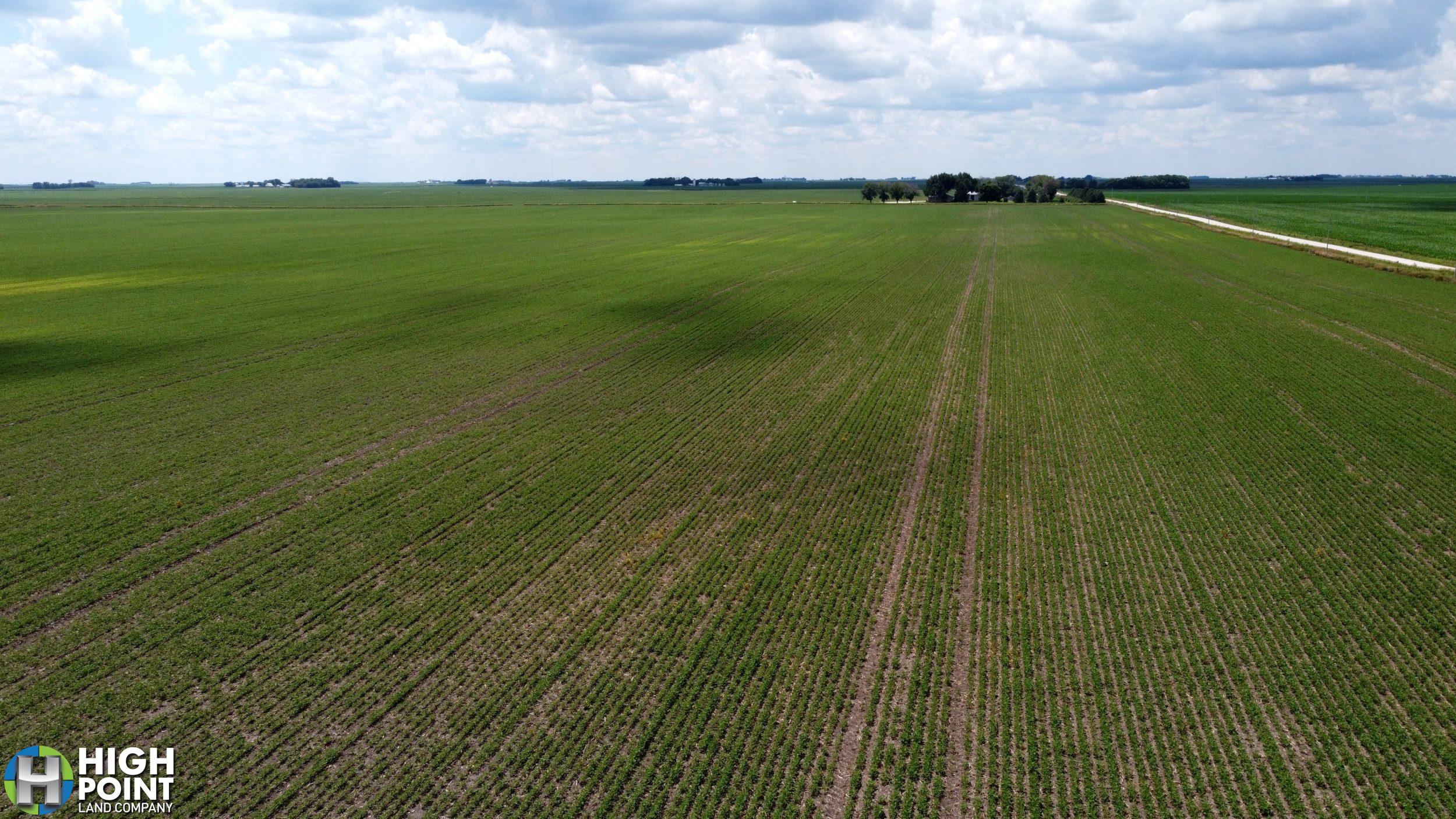 240+/- Acres Pocahontas County, IA - TWO TRACTS